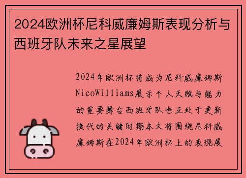 2024欧洲杯尼科威廉姆斯表现分析与西班牙队未来之星展望